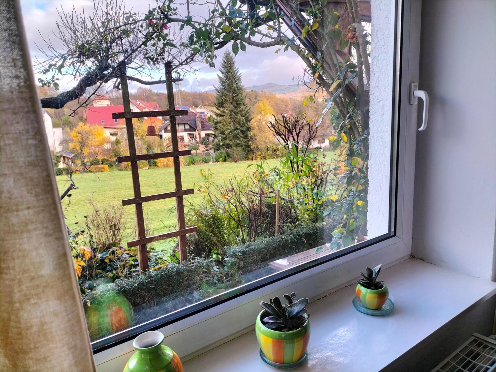 Pension Rosenblick Mörlenbach Esterno foto